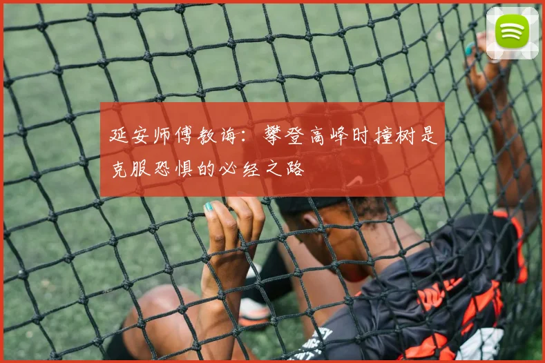 延安师傅教诲：攀登高峰时撞树是克服恐惧的必经之路